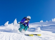 开云下载-穆勒攻防两端统治全场，阿尔及利亚战术体系下的隐形引擎