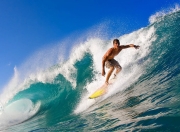 开云官方app入口-红土与草地的交响，西西帕斯蒙特卡洛高光如何照亮温网鏖战之路