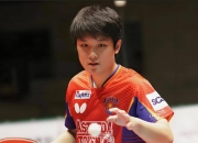 开云下载-波兰乒乓球队力克比利时乒乓球队，张本智和绝境逆转的简单介绍