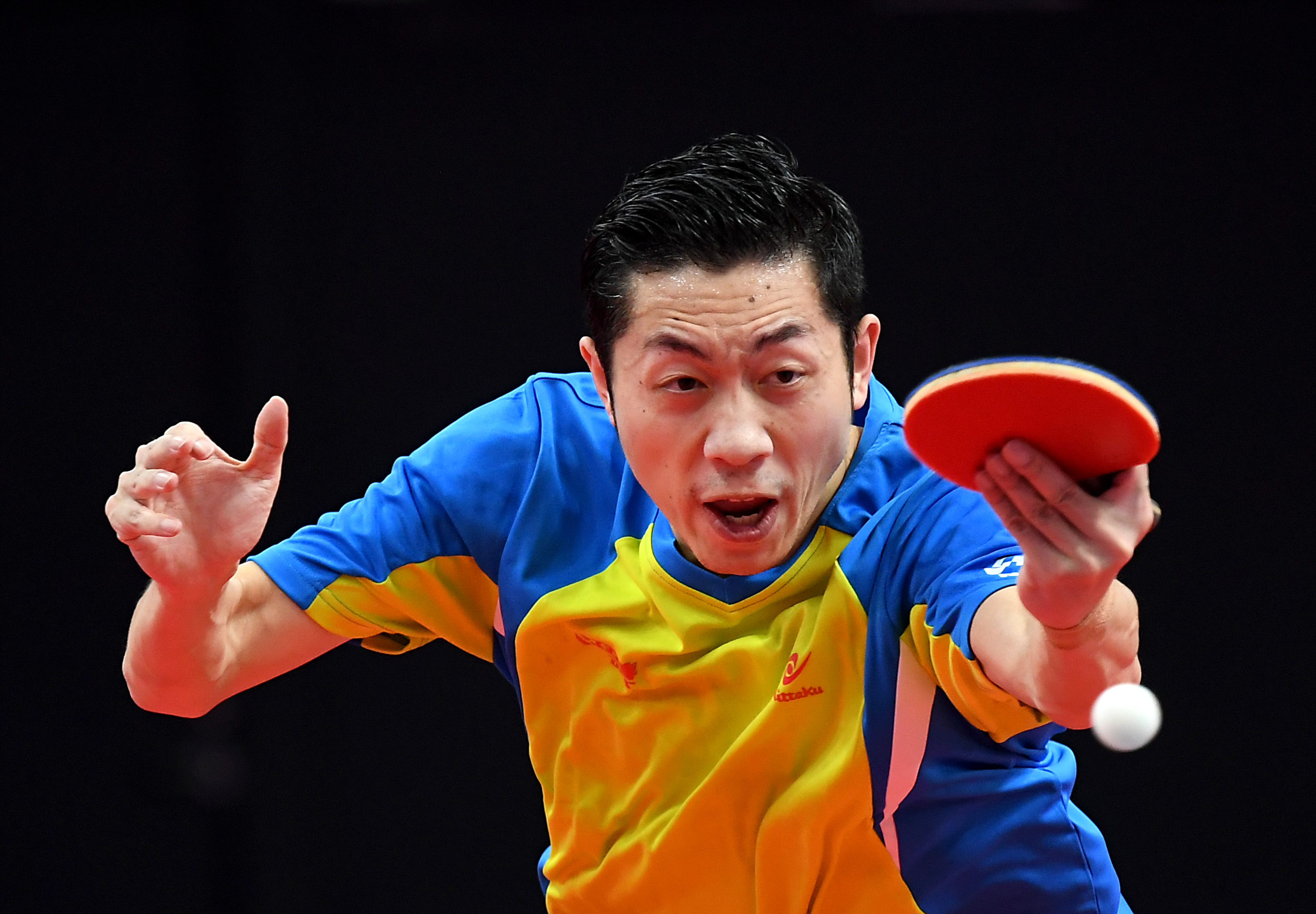 比利时乒乓球队完胜波兰乒乓球队,许昕惊艳世界的简单介绍 比利时乒乓球队完胜波兰乒乓球队,许昕惊艳世界的简单介绍