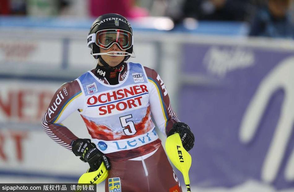 斯洛伐克代表团斩获金牌增强实力 斯洛伐克代表团斩获金牌增强实力