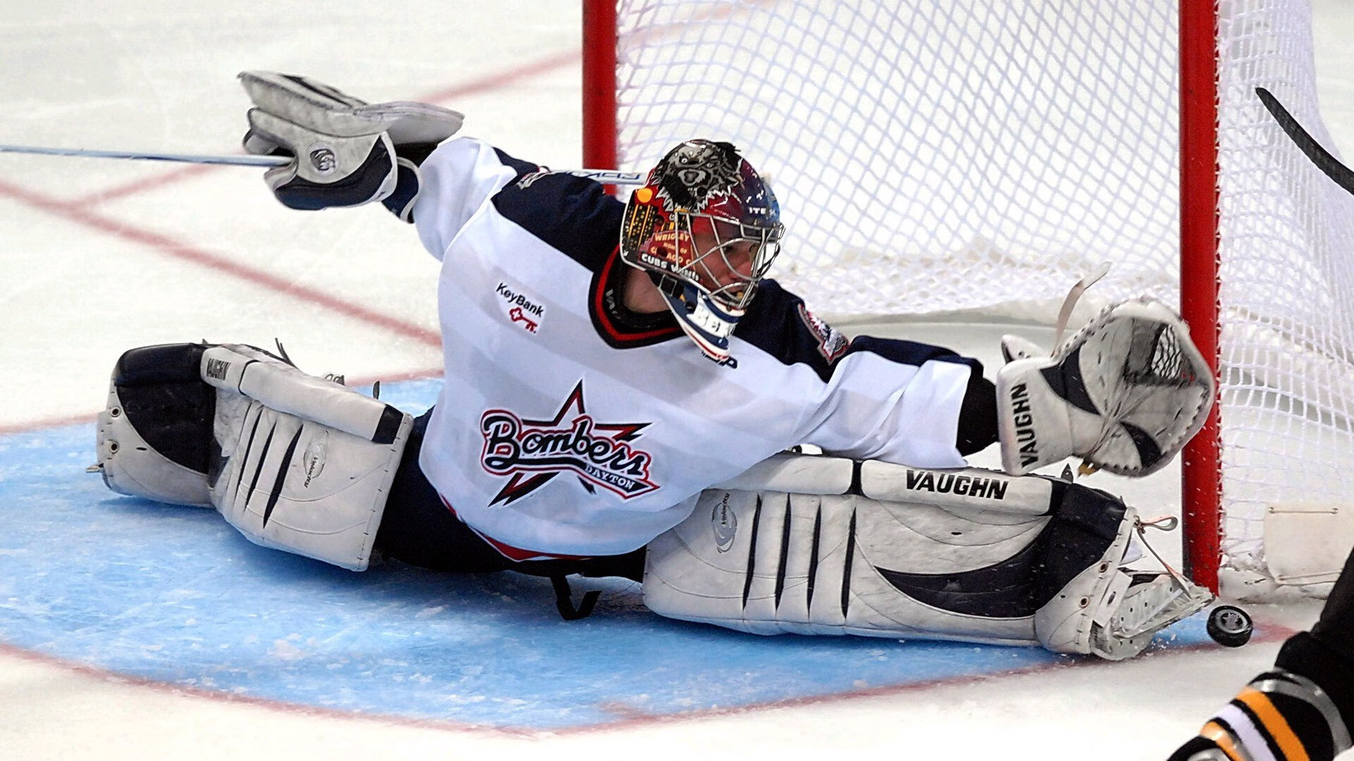 莫兰特爆发背后的启示,从辽宁队强势晋级看黄蜂式团队进化