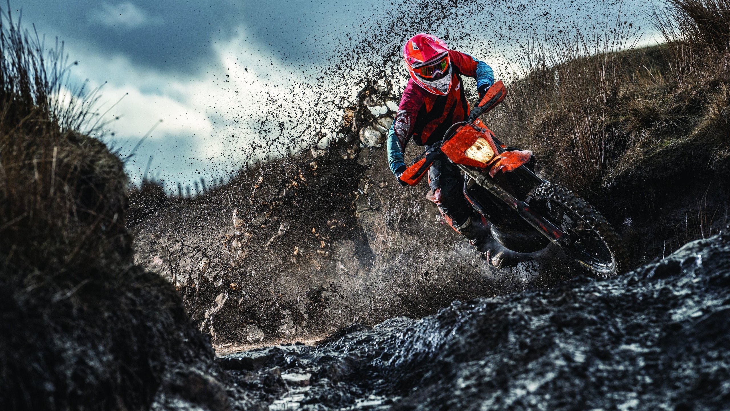 猛龙破局,北境之师如何以奇制胜,锁定季后赛焦点战胜利